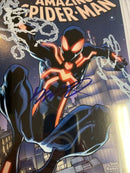 Amazing Spider-Man (2011)