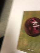 Batman Fruit Of The Earth Collection Signed By Dan Jurgens & Greg Rucka (NM)