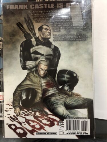 The Punisher In The Blood  (2011) Marvel TPB SC Roland Boschi