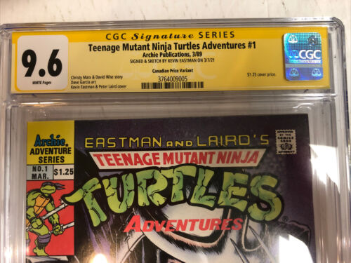 TMNT Teenage Mutant Ninja Turtles Adventure (1989)