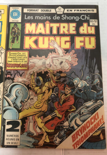 Maitre Du Kung Fu En Francaise (1978)