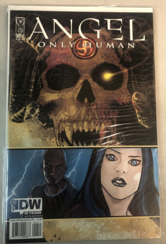 Angel: Only Human (2009) 1-5 Complete Set | IDW Publishing