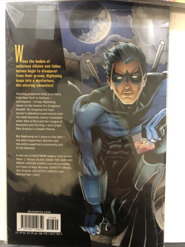 Nightwing: Freefall (2008) DC Comics TPB SC Peter J. Tomasi