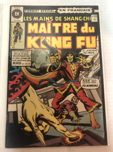 Maitre Du Kung Fu En Francaise (1978)