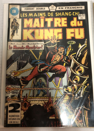 Maitre Du Kung Fu En Francaise (1978)