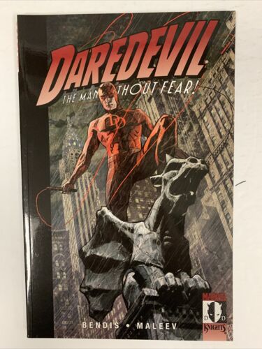 Daredevil Vol 6 Lowlife TPB Softcover (2004) Mack | Maleev