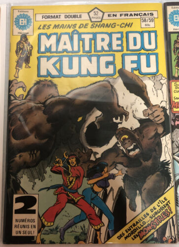 Maitre Du Kung Fu En Francaise (1978)