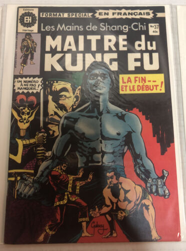 Maitre Du Kung Fu En Francaise (1978)