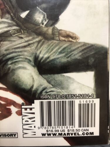 The Punisher In The Blood  (2011) Marvel TPB SC Roland Boschi