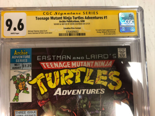 TMNT Teenage Mutant Ninja Turtles Adventure