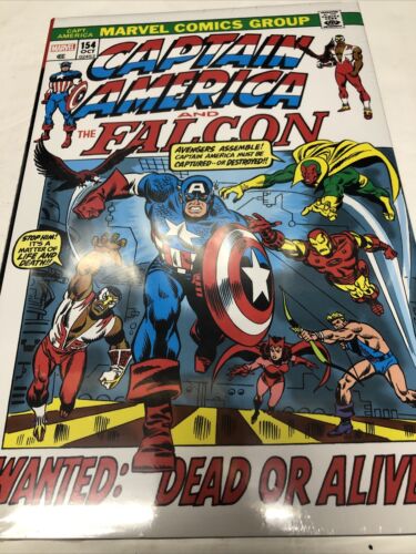 Captain America And Falcon (2024) Omnibus Vol