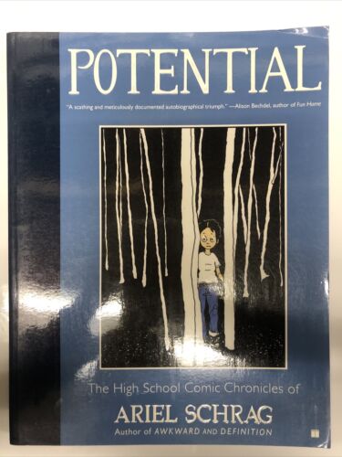 Potential The High School Comic Chronicles Of Ariel Schrag (2008) TPB Schuster