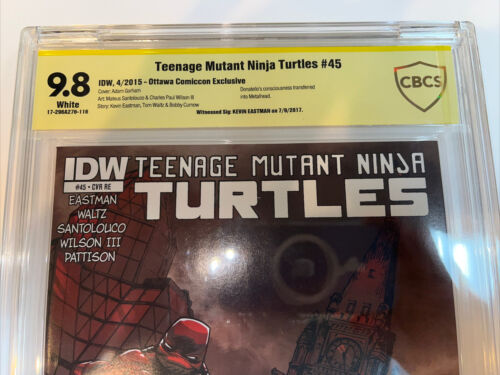 TMNT Teenage Mutant Ninja Turtle (2015)