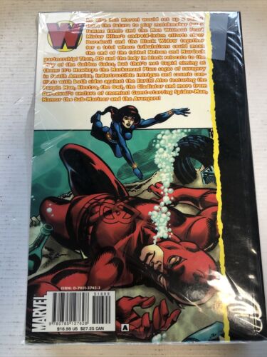 Essential Daredevil Vol.4 (2007) Marvel SC Gerry Conway