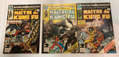 Maitre Du Kung Fu En Francaise (1978)