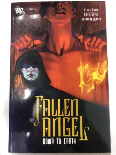 Fallen Angel Vol.2 Down To Earth By Peter David (2007) DC TPB SC