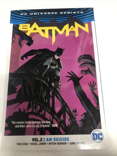 Batman Vol.2 I Am Suicide  (2017) DC Comics SC Tom King