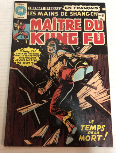 Maitre Du Kung Fu En Francaise (1973)