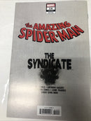 The AMAZING SPIDER-MAN
