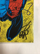 Spider-Man (1991)