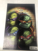Teenage Mutant Ninja Turtels (NM)