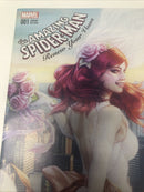 AMAZING SPIDER-MAN (2017) Variant