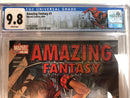 Amazing Fantasy (2004)