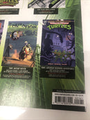 Teenage Mutant Ninja Turtels (NM)