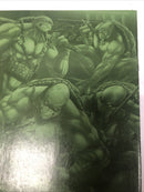Teenage Mutant Ninja Turtels (NM)