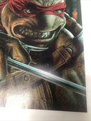 Teenage Mutant Ninja Turtels (NM)
