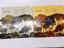 Arthur Fiedler & The Boston Pops Pops Festival 10 Vinyl LP Album Box Set