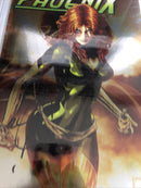 phoenix (2024)