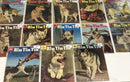 Rin Tin Tin In Logging Trouble • Set Issues