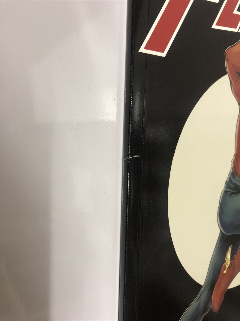Flash (2020) TPB Vol