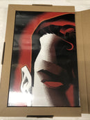 Absolute Superman Red Son (2025) DC Comics • Hardcover HC • Mark Millar •Johnson