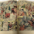 Web Of Spider-Man (1985)