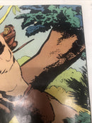 Tarzan’s Jungle Annual (1958) Variant
