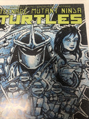 Teenage Mutant Ninja Turtels (NM)