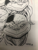 Teenage Mutant Ninja Turtels (NM)