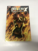 PHOENIX ENDSONG (2005) TPB Collects