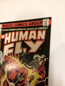 The Human Fly (1977)