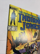 Indiana Jones (1984)