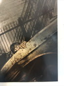 Riddler Year One (2022)