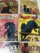 Black Fury (1966) Set 20-29-38-39-41-43-46-47-50-51- 53-54-57 • Silver Age •West