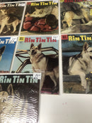 Rin Tin Tin In Logging Trouble • Set Issues