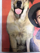 Old Yeller (1957)