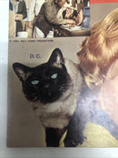 That Darn Cat (1965)