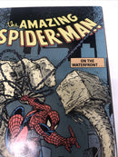 AMAZING SPIDER-MAN