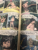 Tarzan’s Jungle Annual (1956) Variant