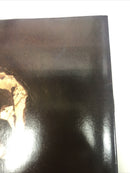 Spanner’s Galaxy (1984)